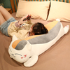 可爱猫咪公仔夏目友人，帐猫老师毛绒玩具床上睡觉抱枕玩偶布偶娃娃