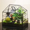 生态绿植情人节礼物苔藓微景观桌面绿植成品龙猫意境玻璃花房盆栽