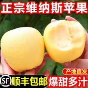 正宗维纳斯黄金苹果5斤山东水果，新鲜礼盒当季时令黄胖子(黄胖子)