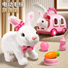 儿童电动小兔子毛绒玩具，女孩宠物小白兔，玩偶公仔女生生日礼物宝宝