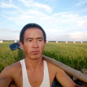 黑龙江五常稻花香大米龙凤山农家，自产自销东北原生态新米10kg