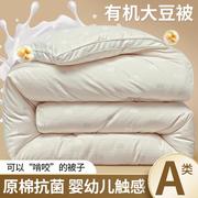 A类原棉大豆纤维被子冬被棉被加厚保暖被芯春秋被太空被四季通用