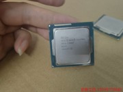 拆机Intel e3-1270v3 四核八线程 LGA1议价产品
