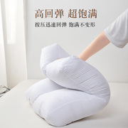 客厅沙发靠枕长方形枕芯，内胆靠枕芯后靠背，垫芯靠背芯床上床头