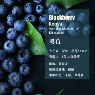 肯尼亚涅里Nyeri AATOP黑莓Blackberry咖啡豆K72水洗处理手冲单品