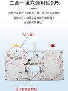 双城堡免装版蚂蚁工坊屋窝巢房家园庄园送蚁后，沙大型生态箱小宠