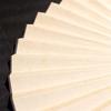 老阊门夏季一尺黑檀木宣纸空白扇子折扇中国风扇子男红木纸扇定制