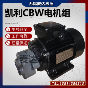 液压油泵电机组CBW-10配550W 370W凯利液压泵总成电机液压站配件