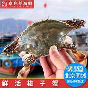 4-7两1只北京闪送鲜活公母梭子蟹螃蟹满肉海蟹，青蟹兰花蟹