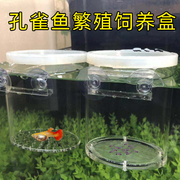 繁殖盒小鱼孵化盒孔雀鱼透明隔离饲养箱亚克力，饲养繁殖孵化盒鱼苗