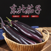东北茄子 农家新鲜应季蔬菜面包茄子酱茄子黑长小茄子 紫库茄子