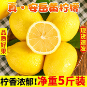 安岳黄柠檬带箱6斤柠檬水果新鲜一级果皮薄5青香水鲜柠檬