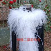 围脖披肩白色鸵鸟羽毛围巾影楼舞台摄影写真拉丁礼服搭配装饰