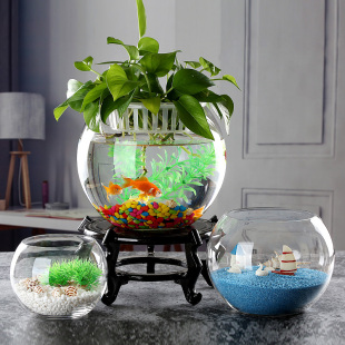 微景观花鱼共养花瓶桌面小型金鱼缸玻璃瓶创意水培绿萝插花圆花器