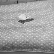 家纺纳米竹炭枕成人护颈枕家用枕芯颈椎枕学生儿童枕头单人