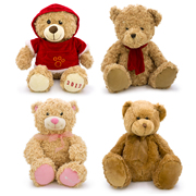 欧美品牌玫瑰花卷毛绒小熊，玩偶穿衣服，熊熊公仔创意生日礼物50cm