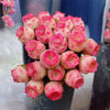 多肉植物粉色山地玫瑰，水蜜桃鸡蛋酒杯耶罗玫瑰，系列室内小盆栽