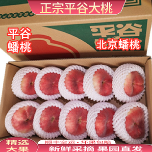 正宗北京蟠桃水蜜桃子新鲜桃，平谷大桃潘桃扁桃，脆软应季水大果礼盒