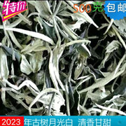 2023年春茶云南普洱景谷月光白茶春茶月光美人乔木散茶500克一斤