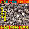 500g新鲜湖北农家金钱小香菇2-2.5cm冬菇两斤