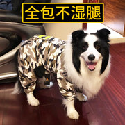 大狗狗雨衣金毛柴犬萨摩耶边牧柯基中型大型犬宠物全包防水的衣服