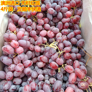 进口无籽红提新鲜红(新鲜红)提子鲜果当季孕妇，水果4斤装广东省内