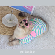 olimilk潮衣萌趣可爱彩条纹，兔耳朵t恤宠物猫咪狗狗秋冬衣服