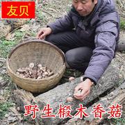 神农架土特产椴木香菇干货，特级农家自产蘑菇干香菇，冬菇非花菇250g