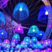 LED光纤水母灯 节日闪灯串满天星户外街道七彩变色餐厅酒吧装饰灯