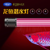 龙鱼灯专用三基色诱色灯龙鱼缸水中灯红龙鱼发色金龙增色显色灯管