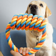 大狗互动耐咬棉绳玩具，宠物洁齿磨牙棒金毛萨摩耶幼犬狗狗绳结拉环