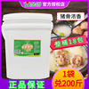 金锣高汤商用18KG大桶火锅米线浓香风味牛骨增白猪骨浓缩白汤