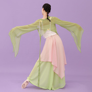 高档蝴蝶带透明雪纺纱衣外套长裙舞蹈服套装小清新粉绿古典