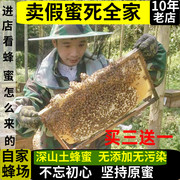 深山蜂蜜纯正天然农家自产野生土蜂蜜龙眼，蜜荔枝蜜百花冬蜜无加工