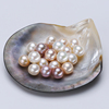 天然色淡水珍珠裸珠 diy手工制作珍珠 圆形微瑕 价