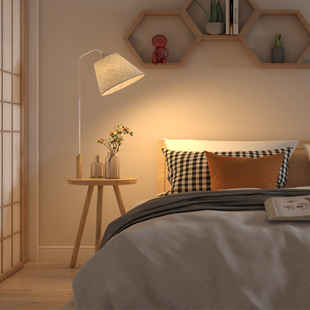 茶几落地灯实木客厅卧室床头灯创意，北欧遥控沙发落地台灯简约原木