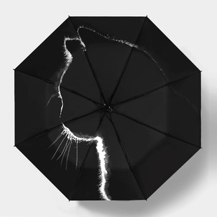 自动雨伞男生简约ins风太阳伞，防晒晴雨两用遮阳伞，防紫外线女黑胶