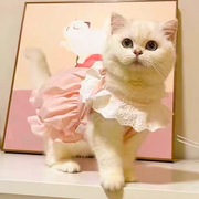 猫咪宠物衣服夏季可爱裙子英短蓝白猫幼猫狗狗公主背心裙透气薄款