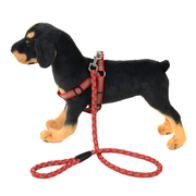宠物狗反光牵引带中小型犬背带狗，绳子泰迪贵宾，犬宠物用品尼龙狗链