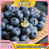 欢乐零食节喵满分云南蓝莓10盒装125g/盒新鲜水果