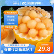 数乡宝藏甘肃民勤蜜瓜8.5-9斤新鲜水果当季甜瓜a