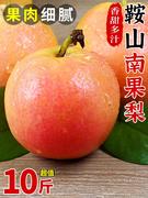 鞍山南果梨10斤梨子新鲜南国梨水果香水红皮冻梨当季东北特产