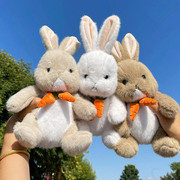 毛料萝卜兔公仔彼得，兔毛绒玩具玩偶节日，赠送抓机娃娃