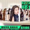 韩国爱茉莉染发剂魅尚萱高级沙龙10啫喱染发膏自己在家温和无刺激