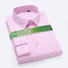 2024春季竹纤维粉红色衬衫男长袖，商务休闲职业装纯色男士衬衣寸衫