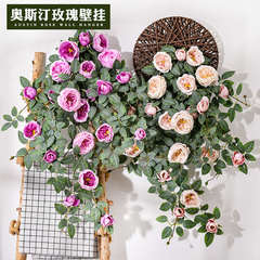 仿真吊花装饰塑料植物挂墙假花墙壁墙上吊兰吊篮藤蔓壁挂花藤玫瑰