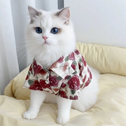 猫咪衣服夏季防掉毛韩系假日风衬衫橘猫布偶金渐层宠物狗狗空调服