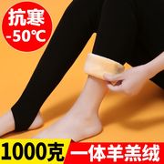 冬天穿裙子的打底裤冬季棉裤女加绒加厚打底裤女士1000克羊羔绒超