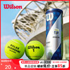 Wilson威尔胜网球威尔逊有压球上海大师赛美网法网专业训练比赛球