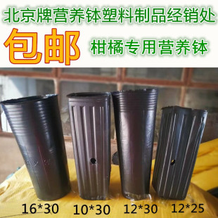 10*30 蔷薇脐橙方口营养钵 柑橘塑料育苗袋 营养杯育苗杯加厚提根